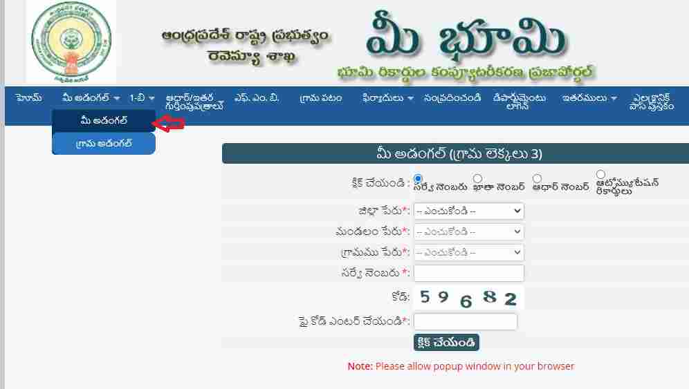 Individual Adangal Record